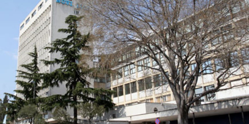 Novi list, foto: www.korzo.net Novi list, foto: www.korzo.net