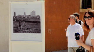 Izložba fotografija “Prijatelji mora” Izložba fotografija “Prijatelji mora”