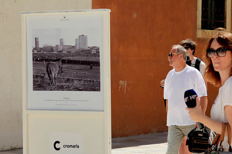 Izložba fotografija “Prijatelji mora” Izložba fotografija “Prijatelji mora”