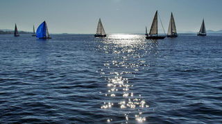 “Zadarska koka”: Regata za sve generacije snimljena iz “koke” “Zadarska koka”: Regata za sve generacije snimljena iz “koke”