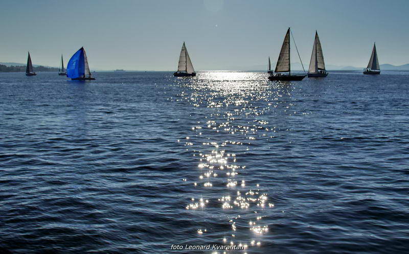 “Zadarska koka”: Regata za sve generacije snimljena iz “koke” “Zadarska koka”: Regata za sve generacije snimljena iz “koke”