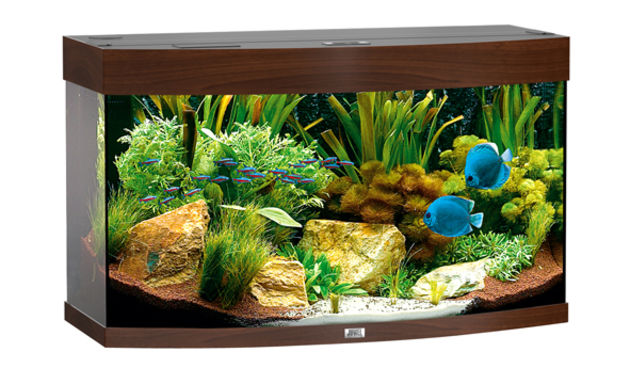 Akvarij, foto: aquashop.hr