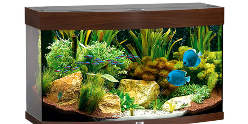 Akvarij, foto: aquashop.hr