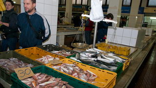 S pjace i peskarije, 24. prosinca 2010., Foto: Leo Banic