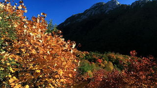 Paklenica: Boje jeseni, Foto: Mladen Radolovic Mrlja