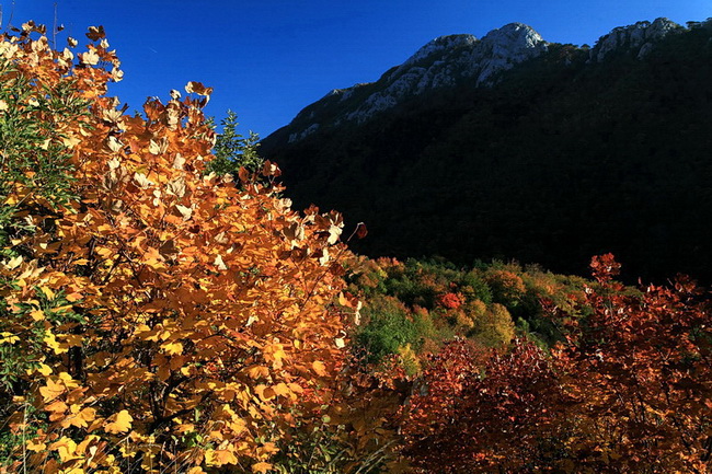 Paklenica: Boje jeseni, Foto: Mladen Radolovic Mrlja