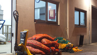 Večer u uljari, Foto: Leo Banić