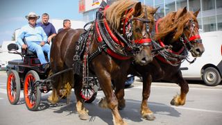 Jesen u Lici Jesen u Lici