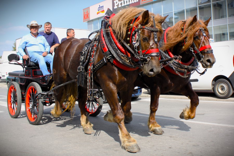 Jesen u Lici Jesen u Lici