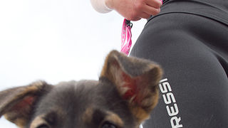 Ekološka akcija čišćenja podmorja u Bibinjama, foto: Leo Banić Ekološka akcija čišćenja podmorja u Bibinjama, foto: Leo Banić