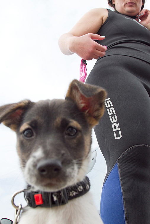 Ekološka akcija čišćenja podmorja u Bibinjama, foto: Leo Banić Ekološka akcija čišćenja podmorja u Bibinjama, foto: Leo Banić