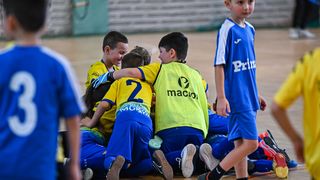 1.Cateleya indoor Cup 1.Cateleya indoor Cup