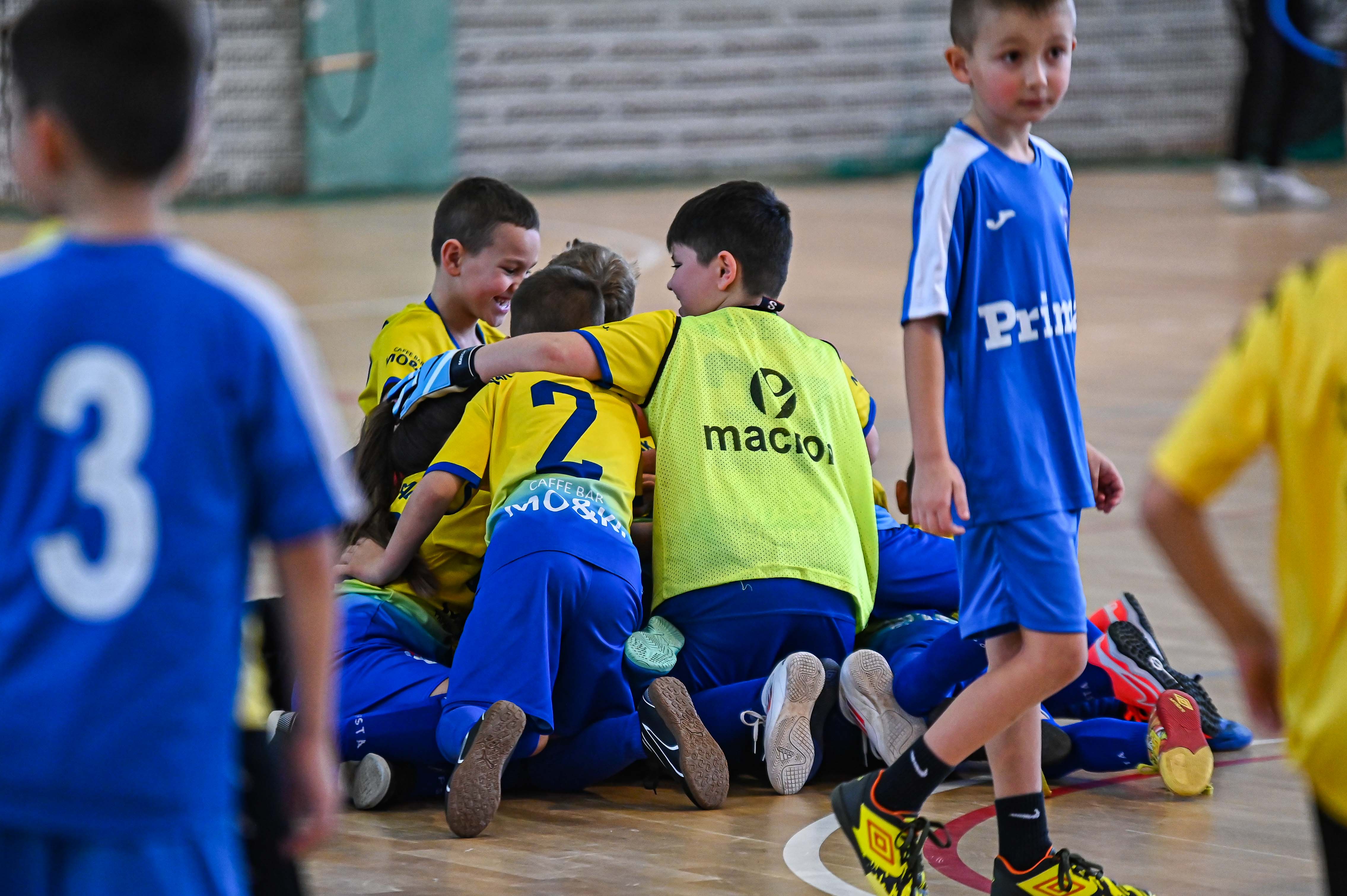 1.Cateleya indoor Cup 1.Cateleya indoor Cup