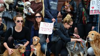 Skup podrške za NO KILL skloništa za životinje,  foto Iva Perinčić