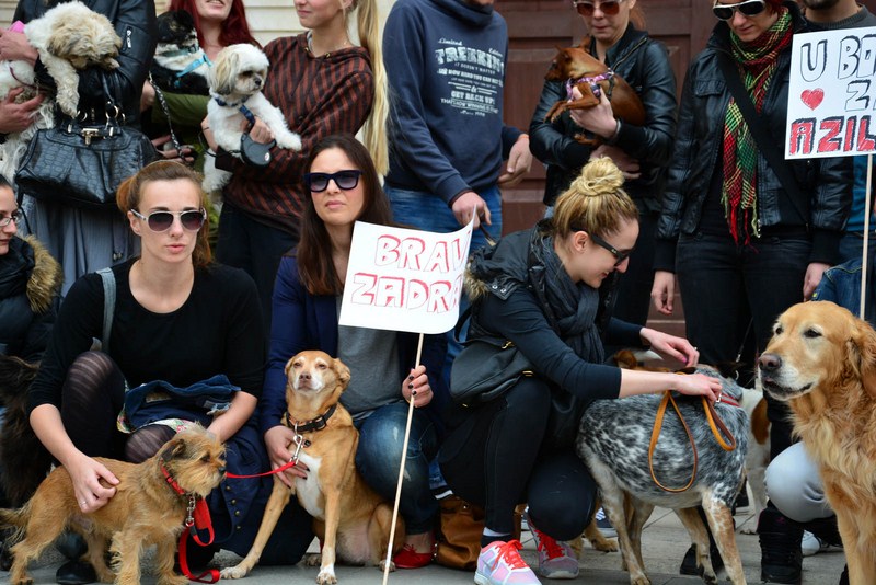 Skup podrške za NO KILL skloništa za životinje,  foto Iva Perinčić