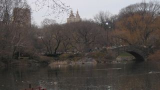 Image 1183861 (auto)