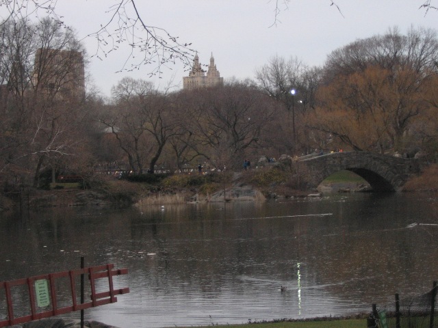 Image 1183861 (auto)