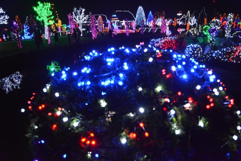 Božićna priča obitelji Salaj s rekordnih 1,88 milijuna lampica. Foto: Damir Špehar/PIXSELL