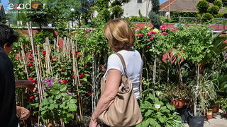 Svečano otvoren 18. Festival cvijeća Zadarske županije u Sv. Filip i Jakovu