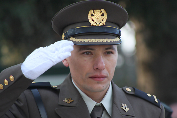 Image 1040135 (auto)