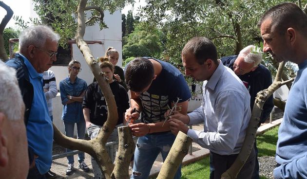 započeo projekt ”Eko-Oliva”