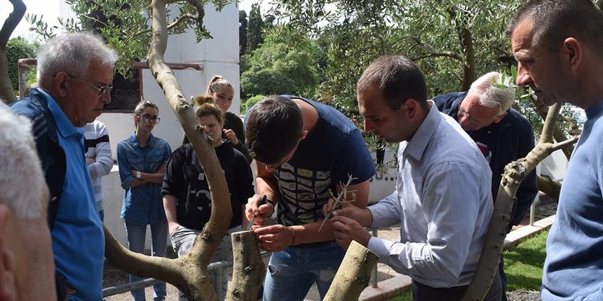 započeo projekt ”Eko-Oliva”