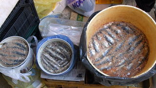 Image 1205451 (auto)