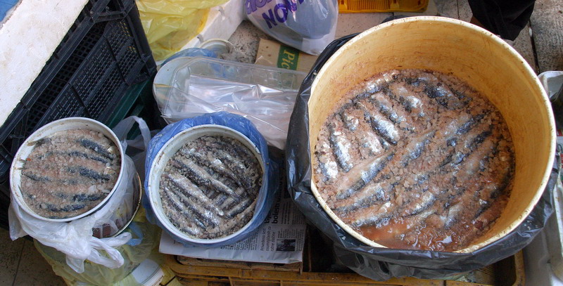 Image 1205451 (auto)