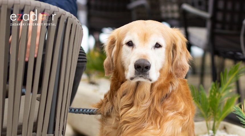 Đir po gradu, srijeda 16. svibnja 2018.