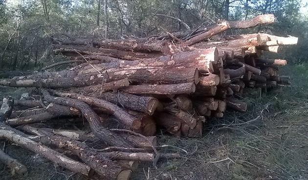 Park šuma Musapstan zagađena raznim otpadom