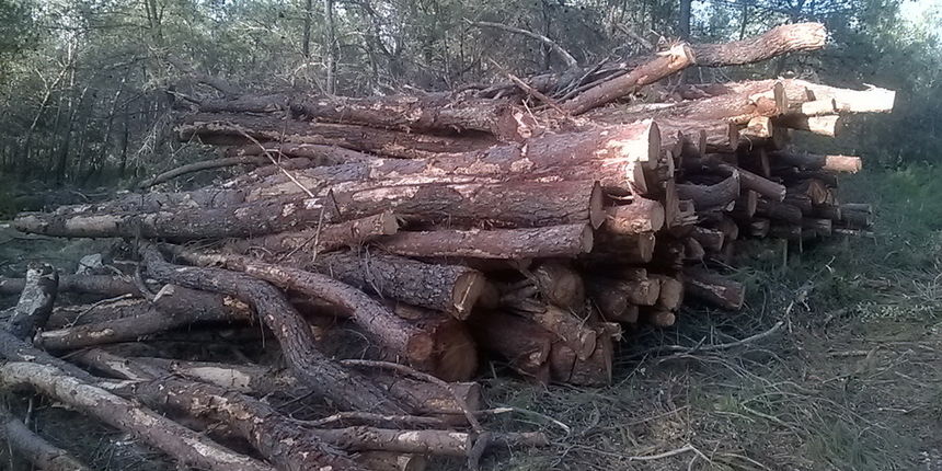 Park šuma Musapstan zagađena raznim otpadom