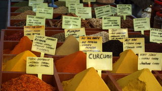 OLYMPUS DIGITAL CAMERA OLYMPUS DIGITAL CAMERA