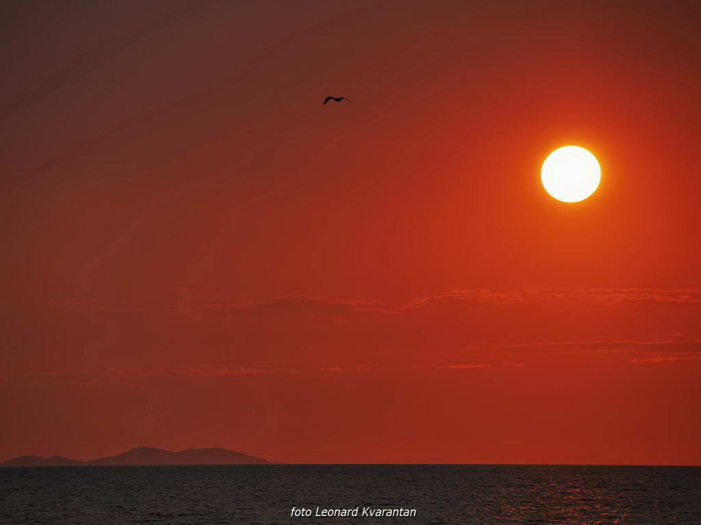 Borik: zalazak sunca, foto: L. Kvarantan