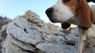 Uspon na Bojin Kuk i pogled na Italiju, Foto: Leo Banić Uspon na Bojin Kuk i pogled na Italiju, Foto: Leo Banić