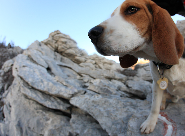 Uspon na Bojin Kuk i pogled na Italiju, Foto: Leo Banić Uspon na Bojin Kuk i pogled na Italiju, Foto: Leo Banić