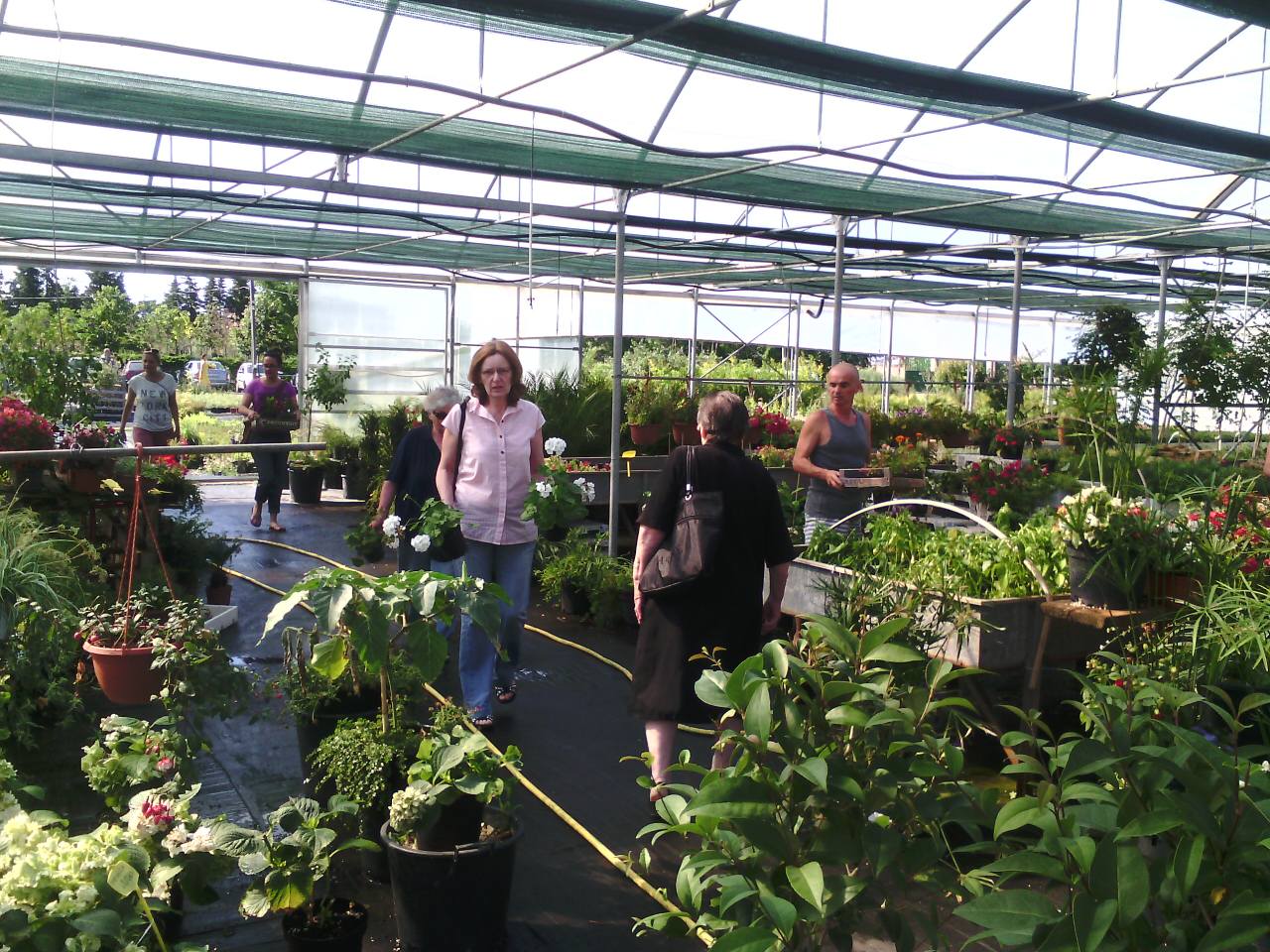 Danas, kako je tvrtka Nasadi d.o.o. i najavila, u rasadniku Cerodol na Žmirićima od 09:00 do 11:00 sati građanima su se dijelile sadnice sezonskog cvijeća. Danas, kako je tvrtka Nasadi d.o.o. i najavila, u rasadniku Cerodol na Žmirićima od 09:00 do 11:00 sati građanima su se dijelile sadnice sezonskog cvijeća.