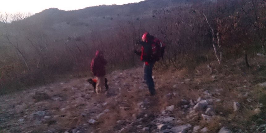 Smrtno stradala osoba na južnom Velebitu – usmrtio ga bik Smrtno stradala osoba na južnom Velebitu – usmrtio ga bik