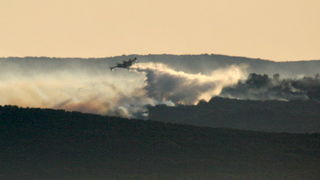 Image 1177163 (auto)