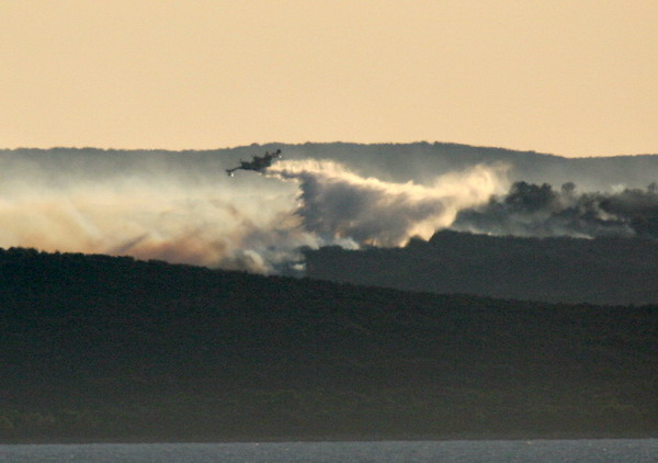 Image 1177163 (auto)