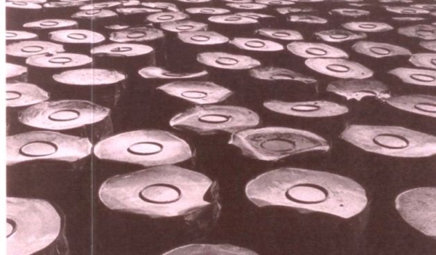 Ante Brkan, fotografija (preuzeto s tzzadar.hr)