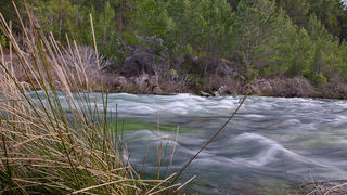 Ugodno prijepodne uz tok rijeke Karešnice i stare zapuštene mlinove, foto: Darko Belančić
