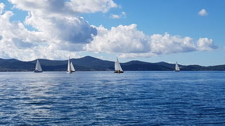 Zadarska Koka 2016. 22. listopada 2016. Foto: Mladen Malik Zadarska Koka 2016. 22. listopada 2016. Foto: Mladen Malik