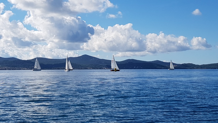 Zadarska Koka 2016. 22. listopada 2016. Foto: Mladen Malik Zadarska Koka 2016. 22. listopada 2016. Foto: Mladen Malik