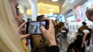 Međunarodna izložba mačaka