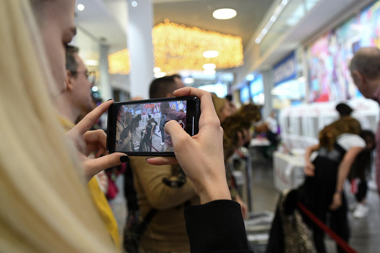 Međunarodna izložba mačaka