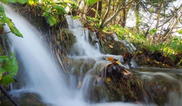 Nacionalni park Plitvicka jezera posjetiteljima nudi posjet po simbolicnoj cijeni od 25 kuna povodom obiteljskog tjedna. Primamljivu ponudu i toplo vrijeme iskoristili su mnogi turisti. Photo: Borna Filic/PIXSELL