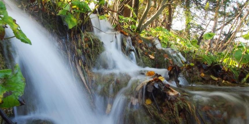 Nacionalni park Plitvicka jezera posjetiteljima nudi posjet po simbolicnoj cijeni od 25 kuna povodom obiteljskog tjedna. Primamljivu ponudu i toplo vrijeme iskoristili su mnogi turisti. Photo: Borna Filic/PIXSELL Nacionalni park Plitvicka jezera posjetiteljima nudi posjet po simbolicnoj cijeni od 25 kuna povodom obiteljskog tjedna. Primamljivu ponudu i toplo vrijeme iskoristili su mnogi turisti. Photo: Borna Filic/PIXSELL