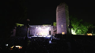 Paco de Lucia na Trgu pet bunara (foto: Marin Gospić)