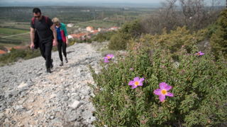 Drugi Planinarski pohod “Hajdemo do Vrane” 2. travnja 2016. Foto: Vinko Pešić