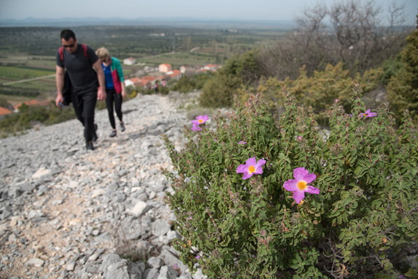 Drugi Planinarski pohod “Hajdemo do Vrane” 2. travnja 2016. Foto: Vinko Pešić